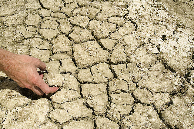 soil-sodicity-in-queensland-sesl-australia