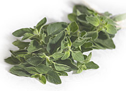 Photo: Oregano